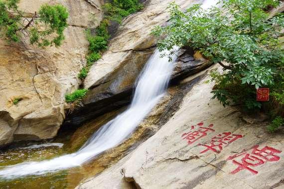 探秘广东一男子用淡水生鱼喂猫遭质疑,猫吃鱼不是“天经地义”吗?,解锁问题的答案宝藏